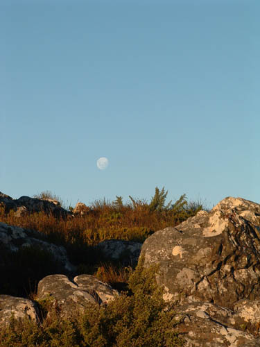 SATableMountainMoon