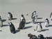 SABouldersPenguins3