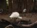 SAWorldOfBirds2