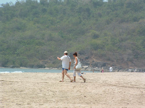 GoaPalolemTourists