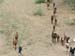 BusToJodhpur-Goaties