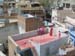 Jodhpur-Holi-Roof