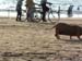 Bombay - Juhu Beach 020