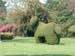 HuaHinTopiary